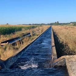 Intensive watering