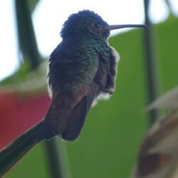 Besuch auf der Terrasse