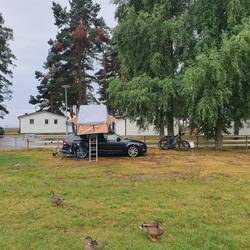 Neues Camp, etwas Regen, dafür nette Nachbarn 🦆