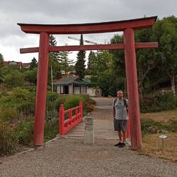 Ein Hauch Japan 🇯🇵