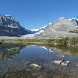 Pond reflection on the way to Athabasca Glacier