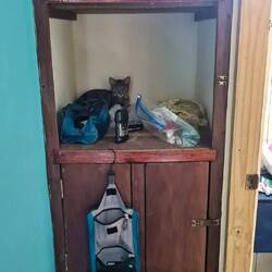 Hotelbüsi in unserem Zimmer