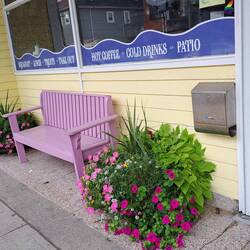 There are benches and chairs for people to relax on Charlotte St