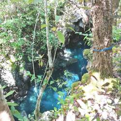 Und dann war da ein blaues Loch Mitten im Wald.