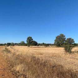 The landscape starts to change