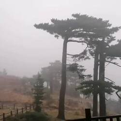 Sturm in Corci