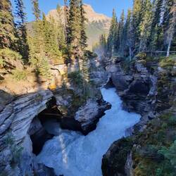Athabasca Falls