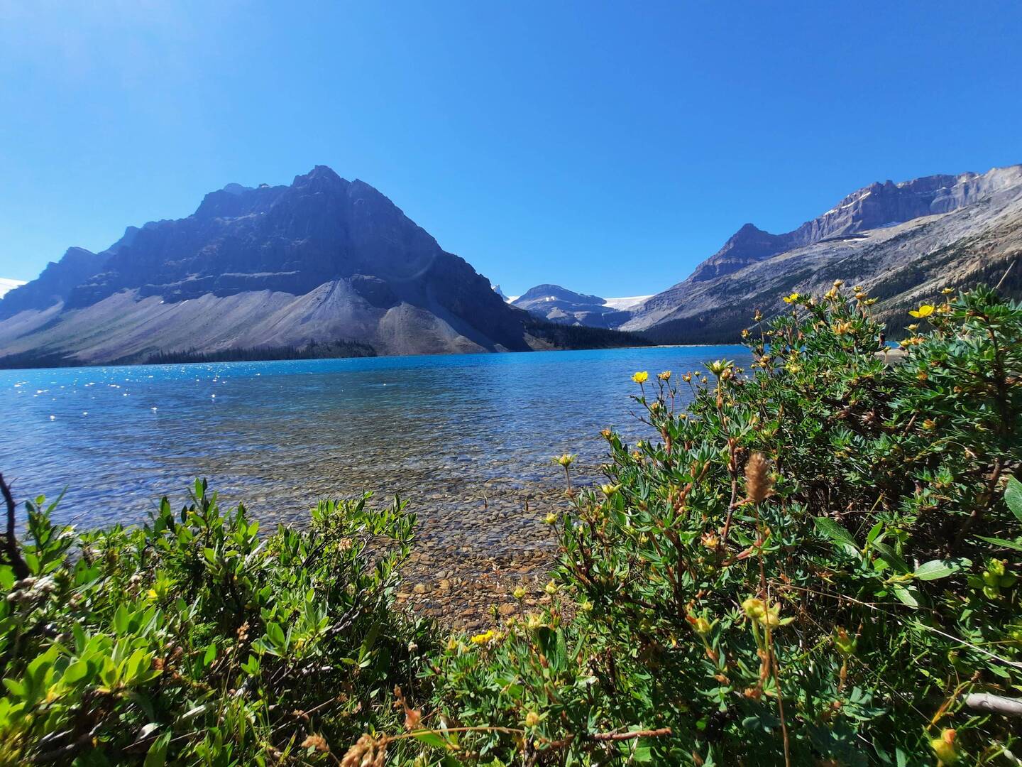Bow Lake