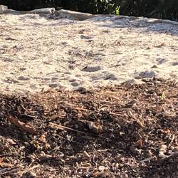 ...for professionals!!! 🥸