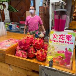 Buah naga, Dragonfruit oder auch Pitaya. Meine Liebliengsfrucht in Südostasien.