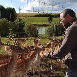 Der Papa sah schon den Rehbraten fürs Weihnachtsfest 🙈😱