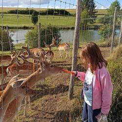 Annika ganz in ihrem Element ❤️