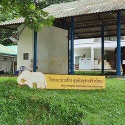 Elefantenkrankenhaus