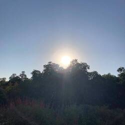 Bye Bye Santa Barbara ❤️