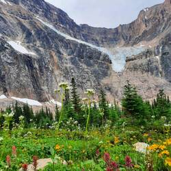 Glacier