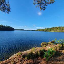 Erfrischung am Abend