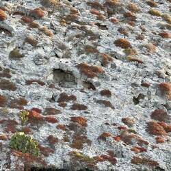 Die Unterkunft der Forscher