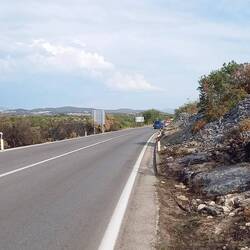 Wild fires destroyed the olive garden close to the road