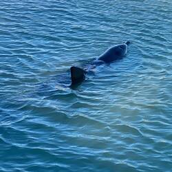 This photo is at our resort first thing in the morning begord heading off to the aquarium