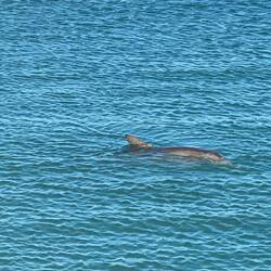 This photo is at our resort first thing in the morning begord heading off to the aquarium