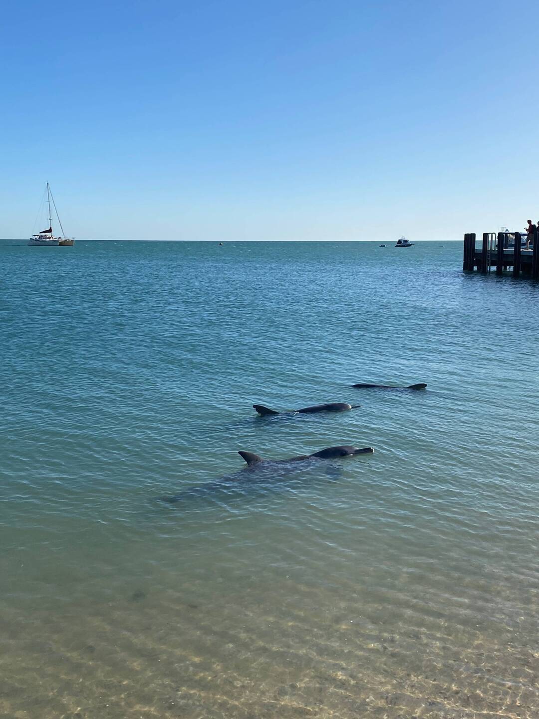 This photo is at our resort first thing in the morning begord heading off to the aquarium