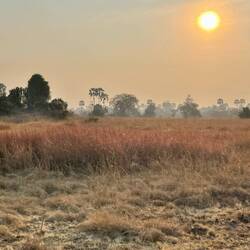 Sunrise at Kafue N.P.