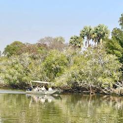 Morning safari on the Kafue River