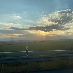 Eule im Anflug