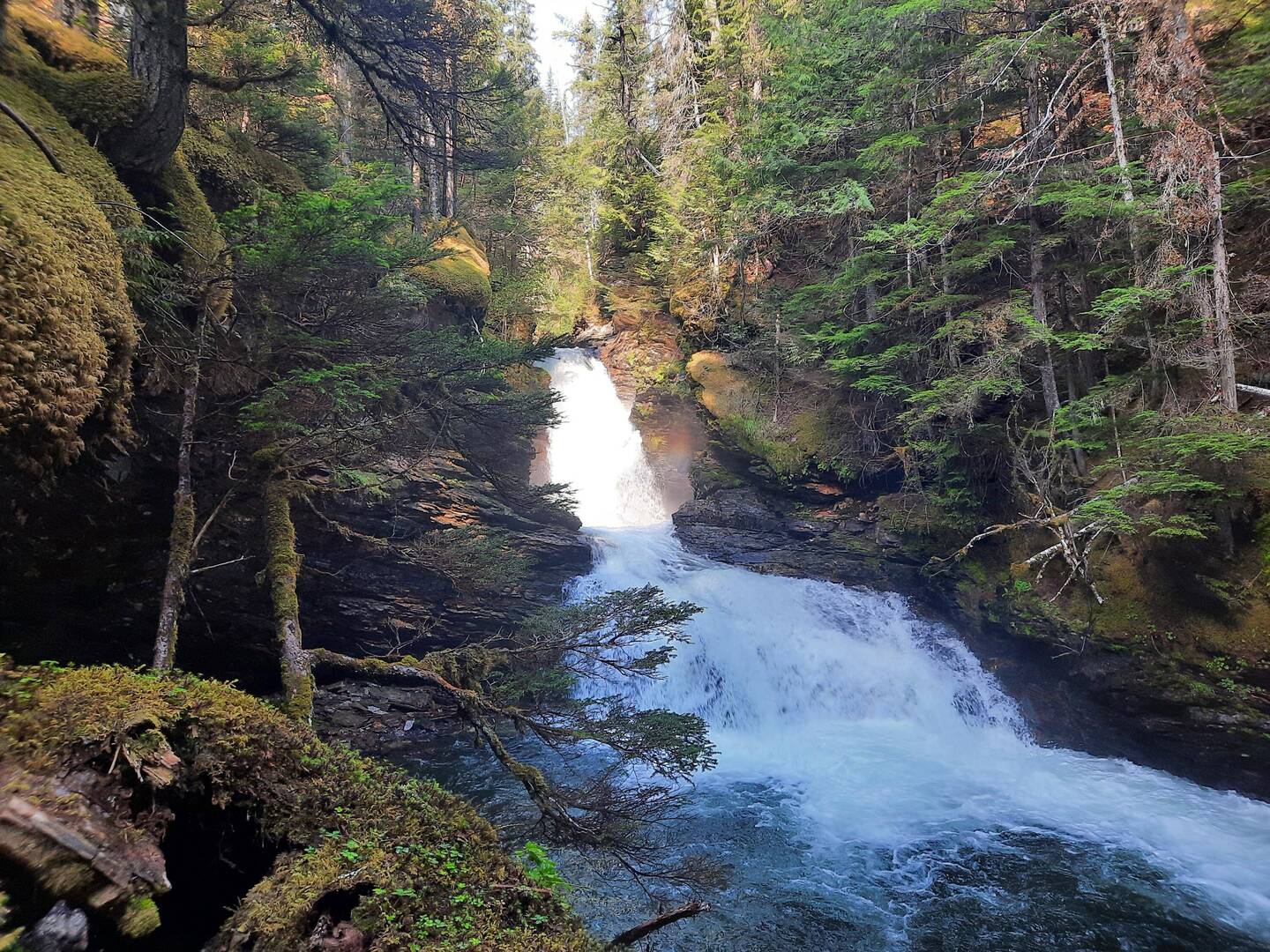 Sticta Falls