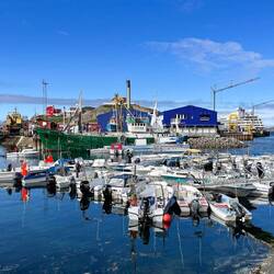 Heading back to the ship — Sisimiut, Greenland.