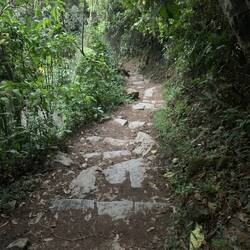 Weg hoch zum Machu Pichu