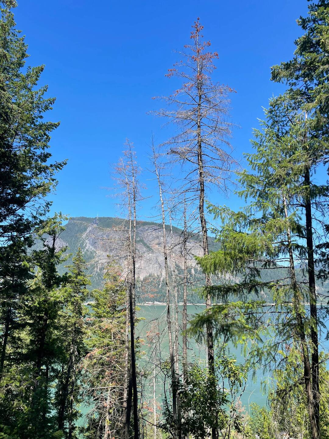 Blick vom Park Hill auf den Shuswap Lake