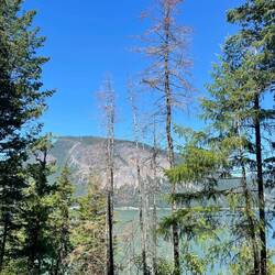 Blick vom Park Hill auf den Shuswap Lake