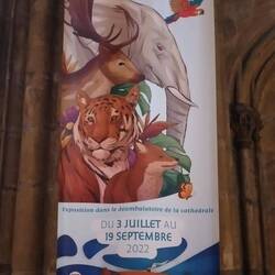 Austellung: die Tiere der Arche Noah im Bezug auf die Darstellung in der Kathedrale