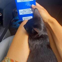 Travel documents!!! :)