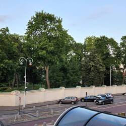 View from Marilyn's Balcony at The Artis