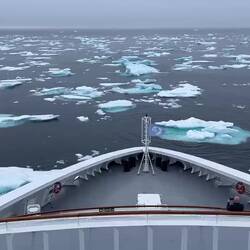Ultramarine making its way through the sea ice plates — Baffin Bay, Greenland.