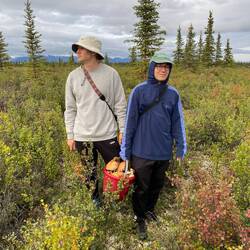 Es gibt Pilze und Mücken