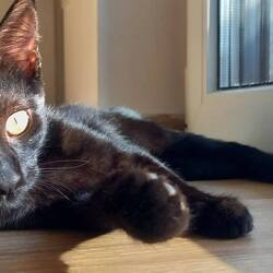 Mali is getting better and better each day :)