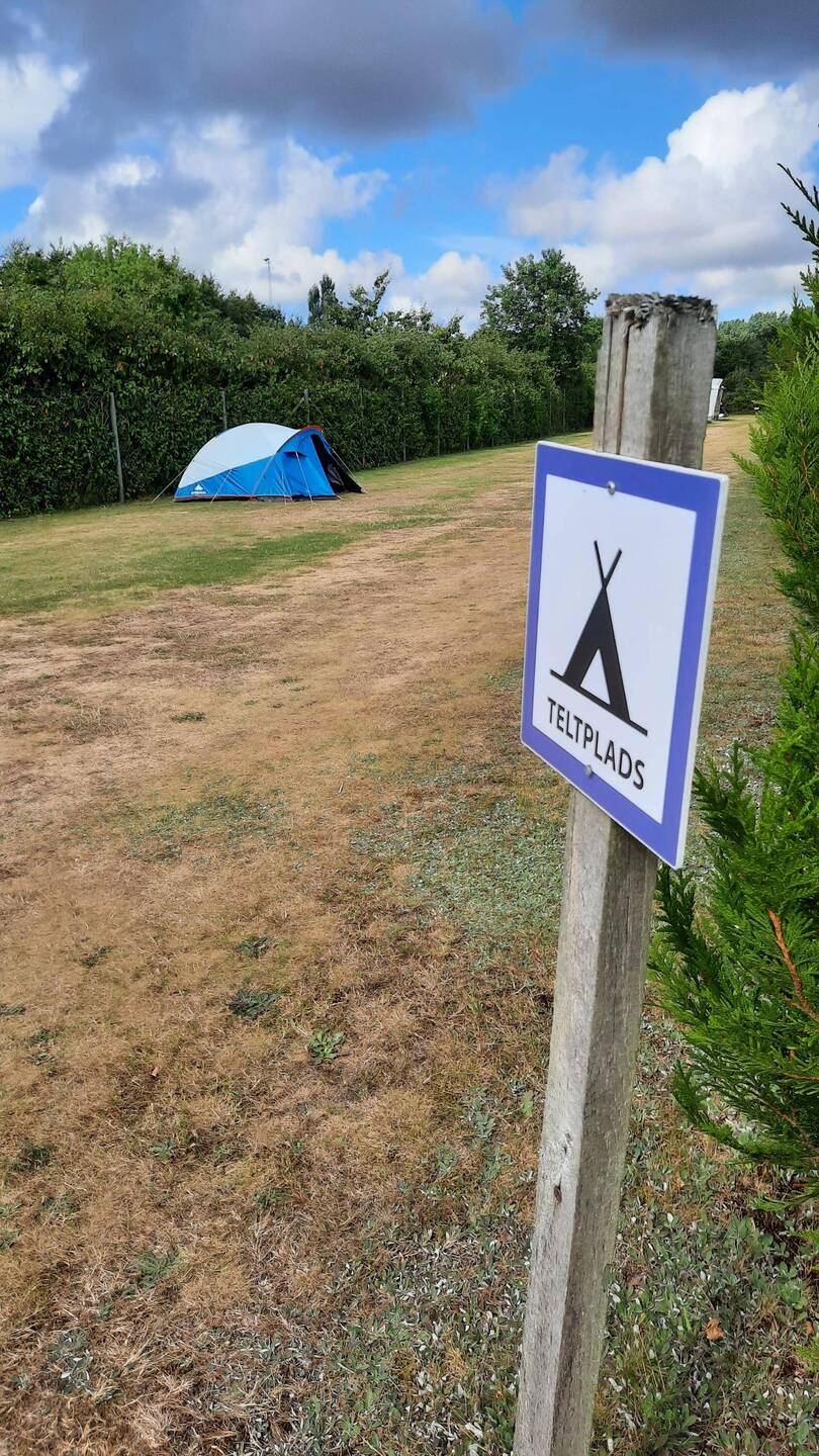 Ab jetzt wird gezeltet!