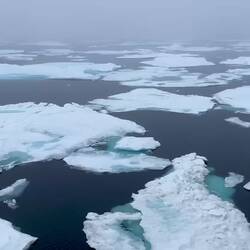 We wake up to more sea ice slowing our progress — Baffin Bay, Greenland.
