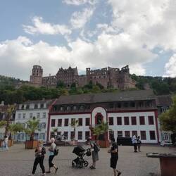 Schloss Heidelberg