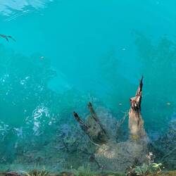 Eau couleur Powerade Ice Storm