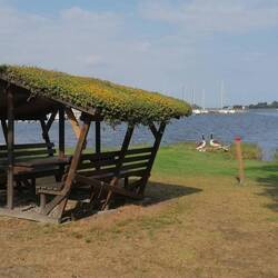 Entspannung an der Sonne