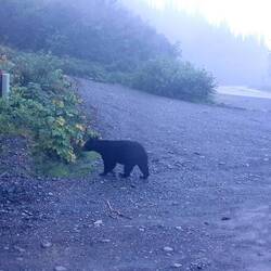 Direkt vor unserem Womo