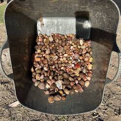 Just a few agates ( this is not all of them 🤫)