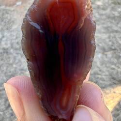 Check out those lines of colour