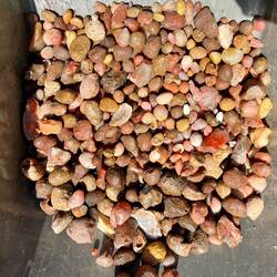 Close up, not to pretty on the outside, but it is the inside that counts