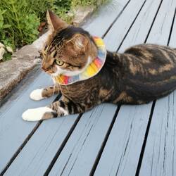 Hank - zuständig für die diversity in der hood 🤗🌈