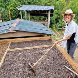 Dann die darin enthaltenen Bohnen trocknen und rösten... ☀️